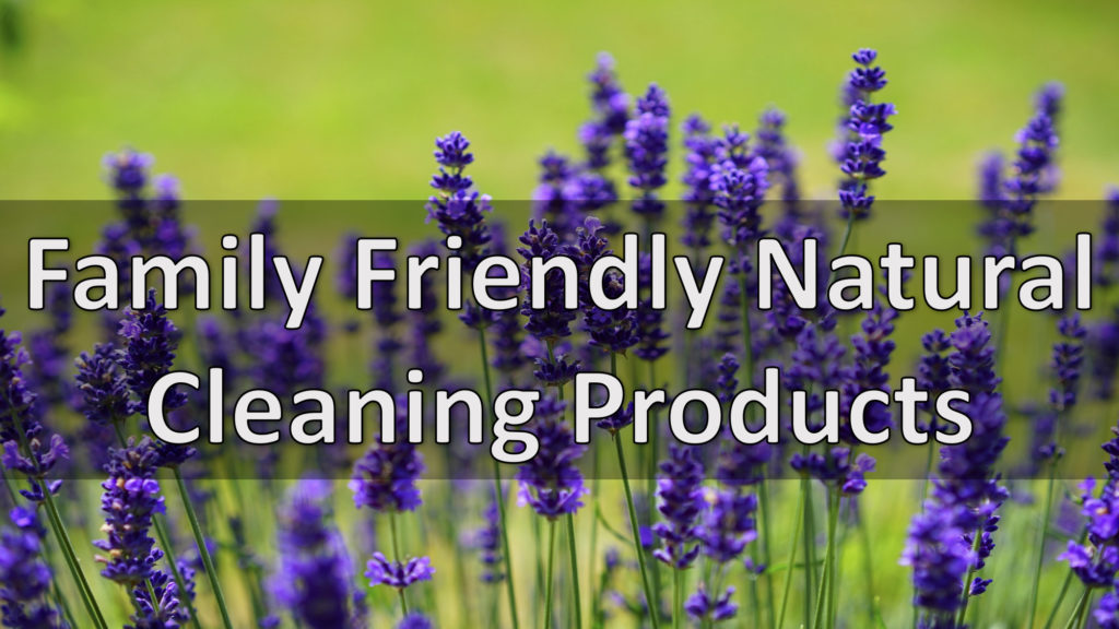 Lainnir Natural Products Natural Household Cleaning Products
